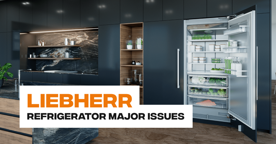 Liebherr Refrigerator Display Panel Errors